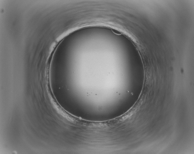 X0000067871526200604201205