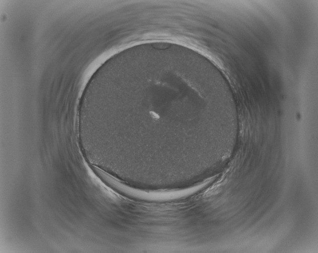 X0000067871527200604201205