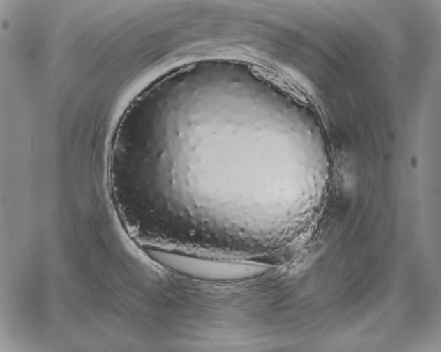 X0000067871528200604201205