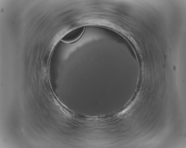 X0000067871529200604201205