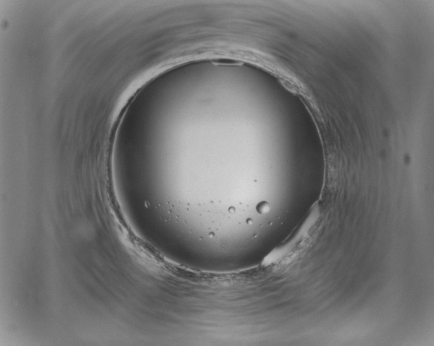 X0000067871530200604201205