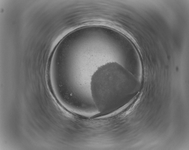 X0000067871533200604201205