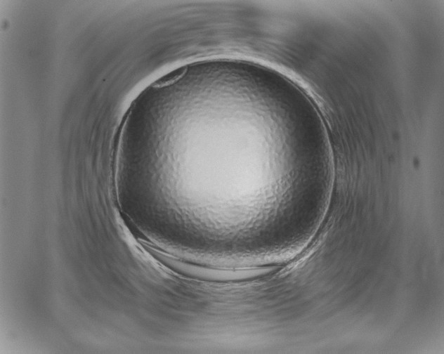 X0000067871534200604201205