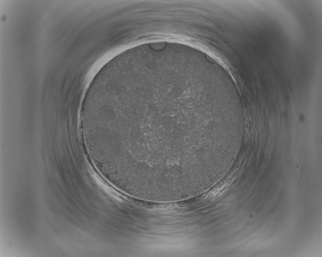 X0000067871535200604201205