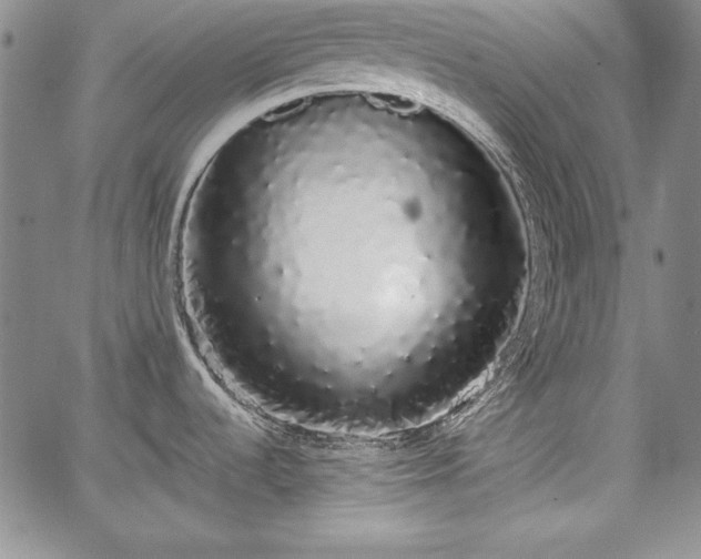 X0000067871536200604201205