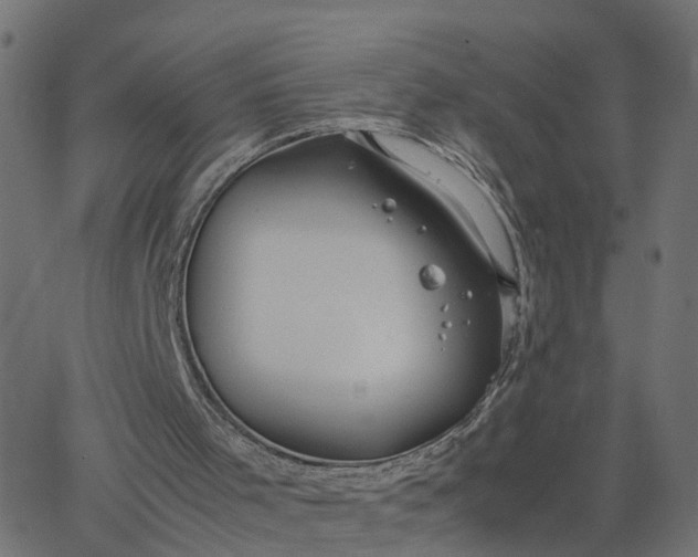 X0000067870001200604271747