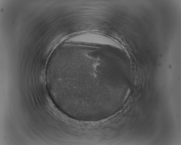 X0000067870002200604271747