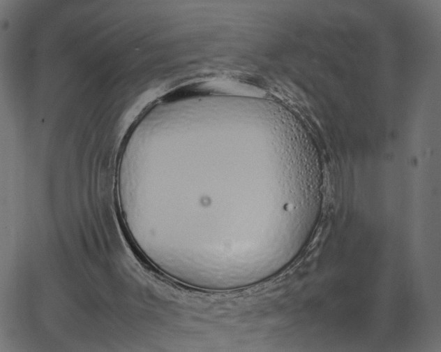 X0000067870003200604271747