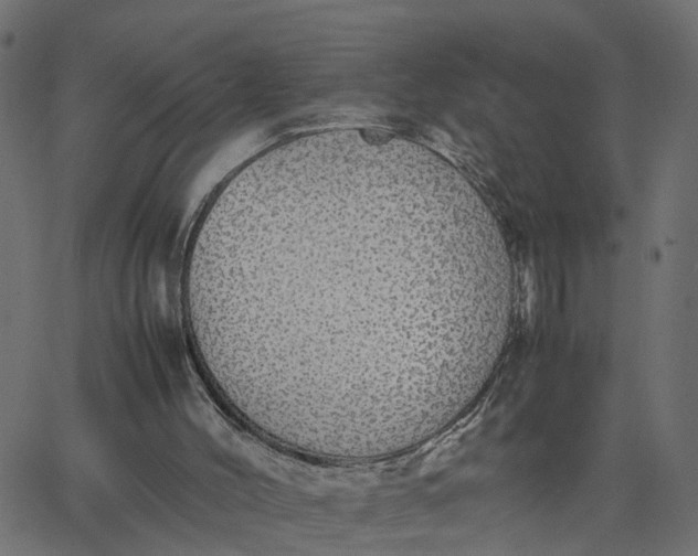 X0000067870004200604271747