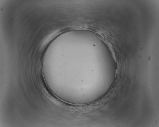 X0000067870005200604271747