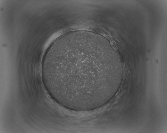 X0000067870006200604271747