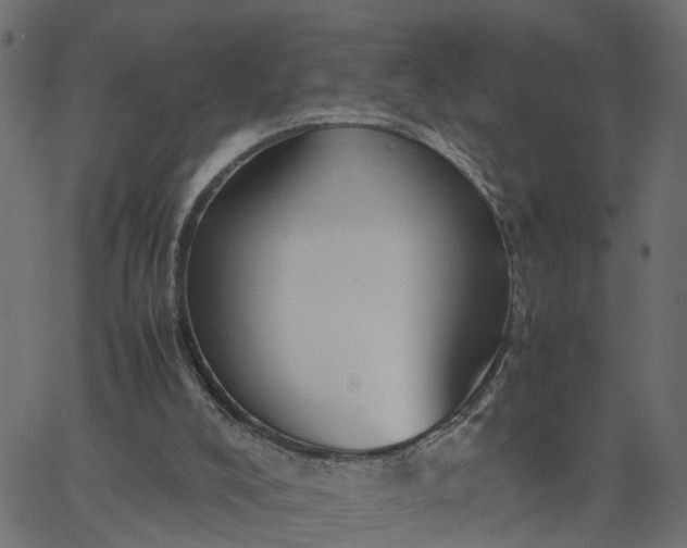 X0000067870008200604271747