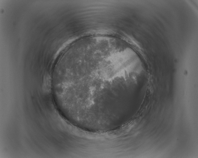 X0000067870012200604271747