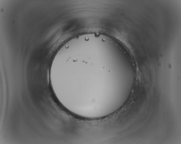 X0000067870013200604271747