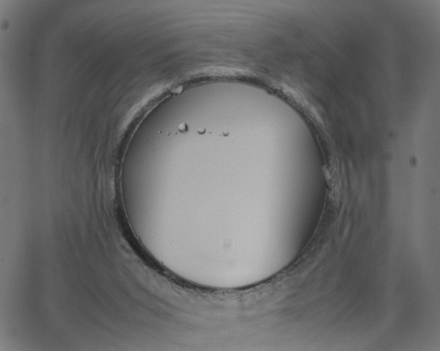 X0000067870015200604271747