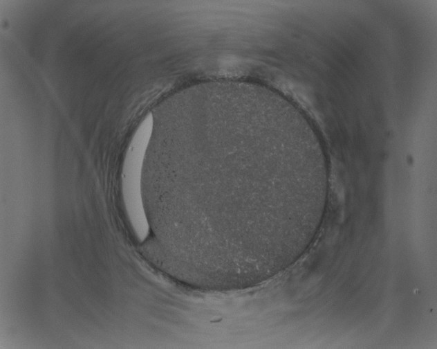 X0000067870017200604271747