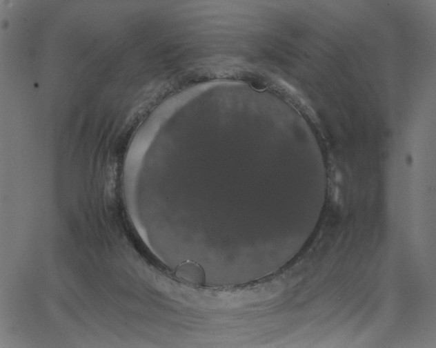 X0000067870018200604271747