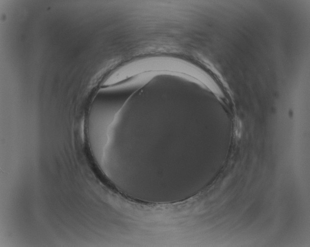 X0000067870019200604271747