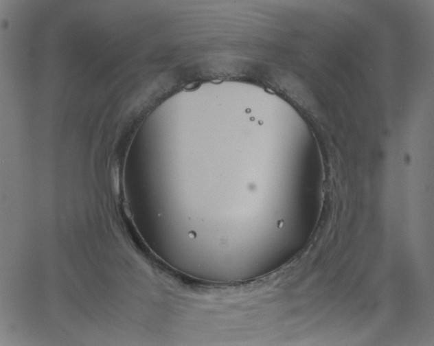 X0000067870021200604271747