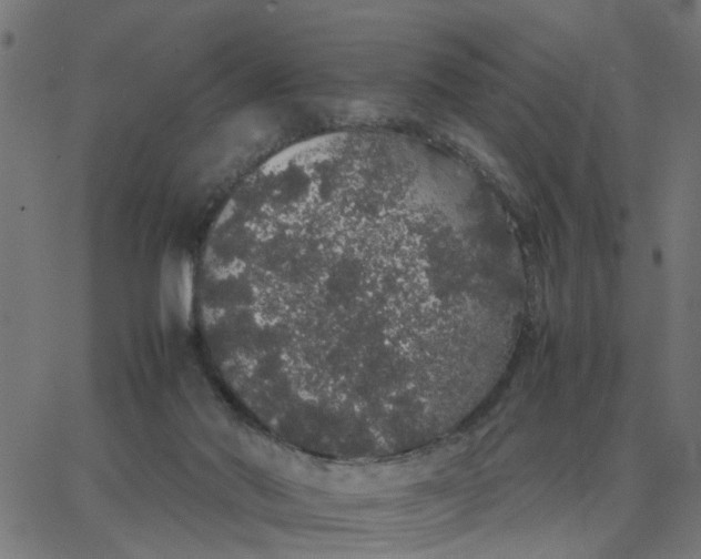 X0000067870022200604271747