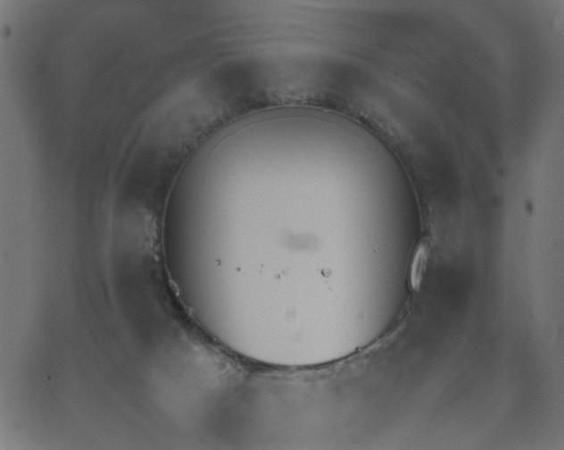 X0000067870025200604271747