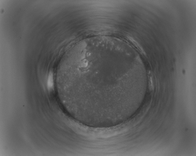 X0000067870026200604271747