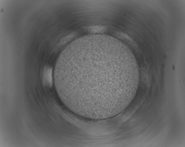 X0000067870028200604271747