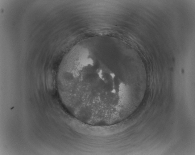 X0000067870030200604271747