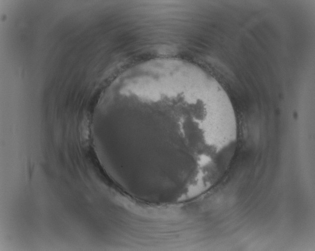 X0000067870032200604271747