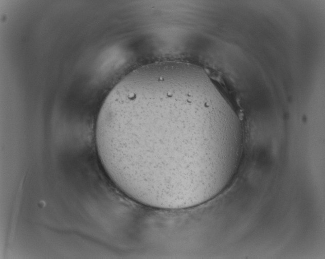 X0000067870033200604271747