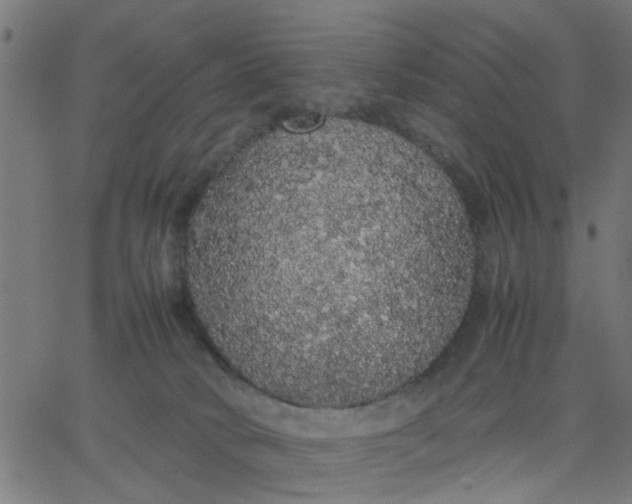 X0000067870034200604271747