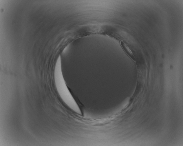 X0000067870035200604271747