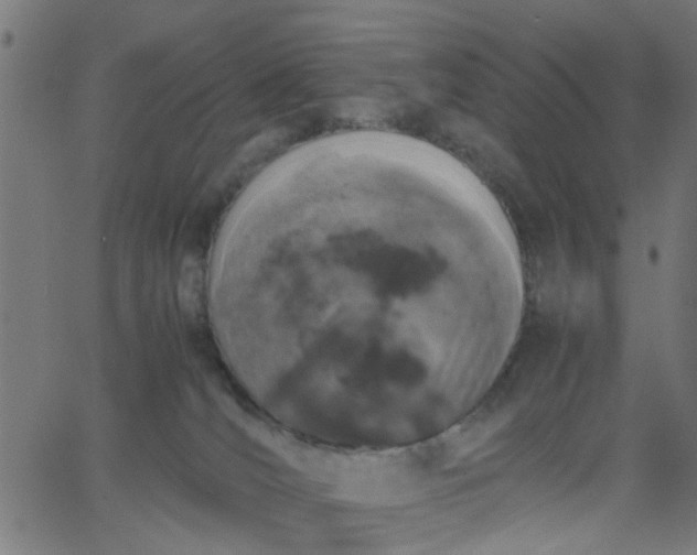 X0000067870036200604271747