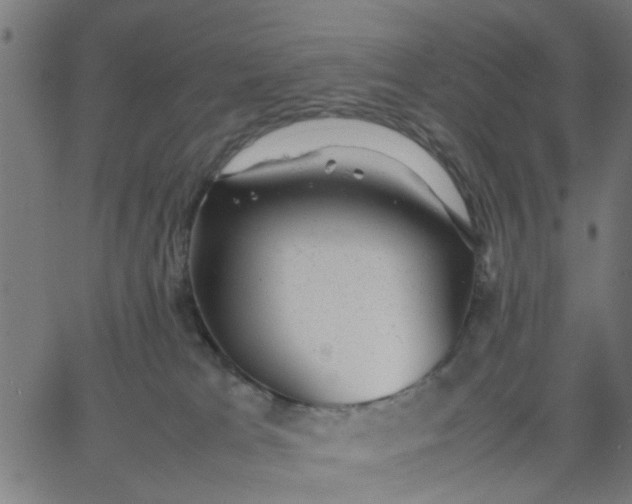 X0000067870037200604271747