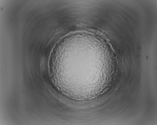 X0000067870038200604271747