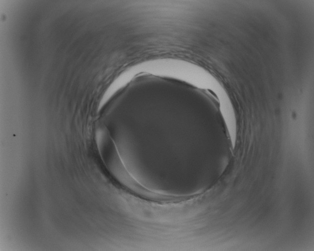 X0000067870039200604271747