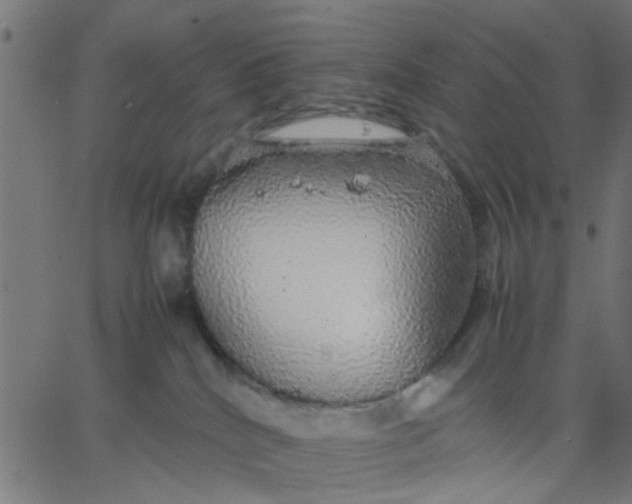 X0000067870040200604271747