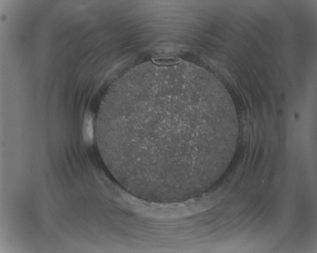 X0000067870042200604271747