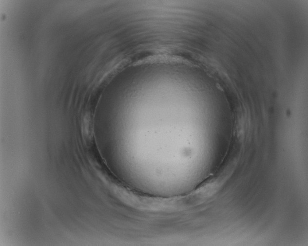 X0000067870044200604271747