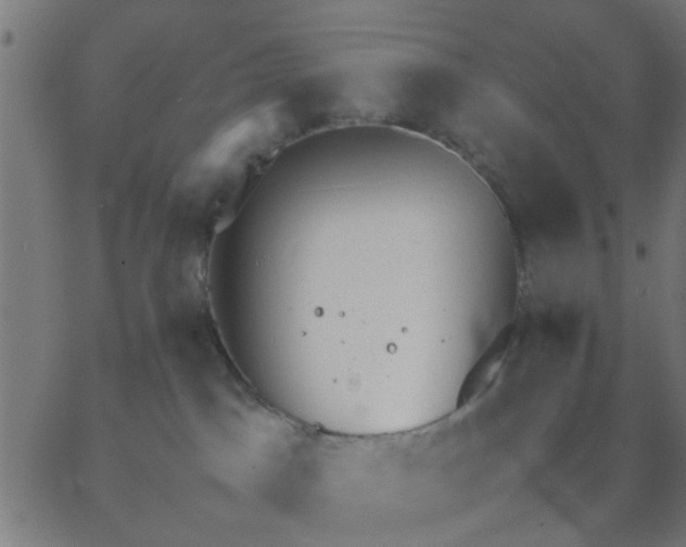 X0000067870045200604271747