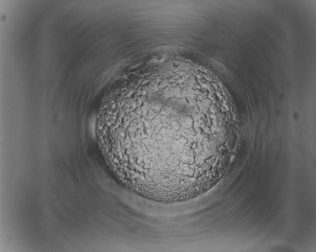 X0000067870047200604271747