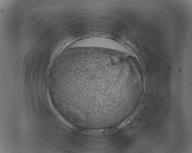 X0000067870049200604271746