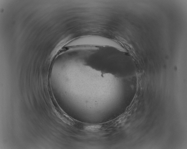 X0000067870051200604271746