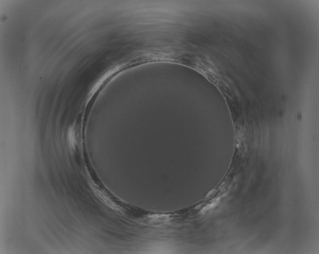 X0000067870052200604271746