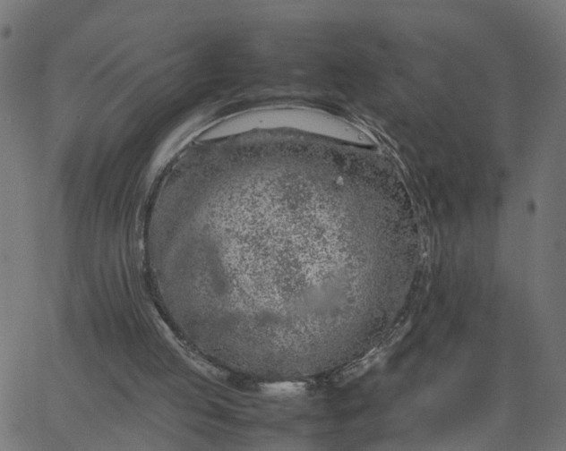 X0000067870053200604271746