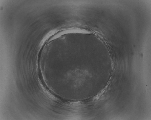 X0000067870054200604271746