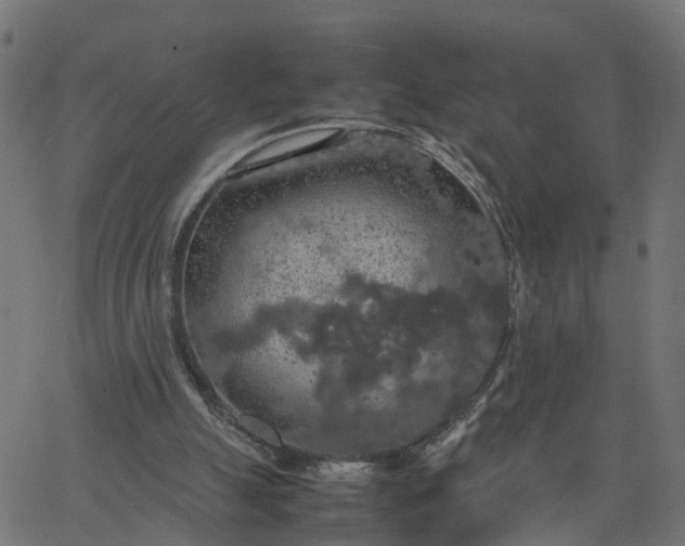 X0000067870055200604271746