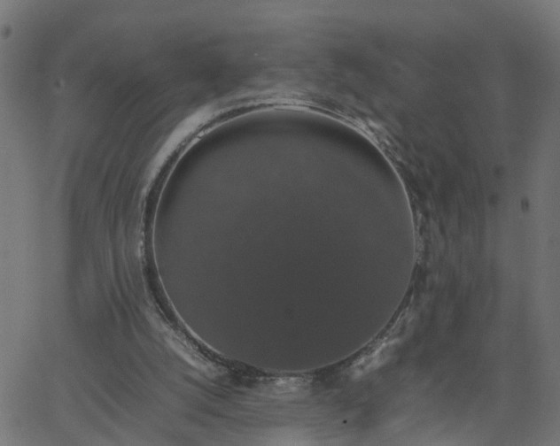 X0000067870056200604271746