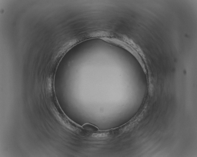 X0000067870057200604271746