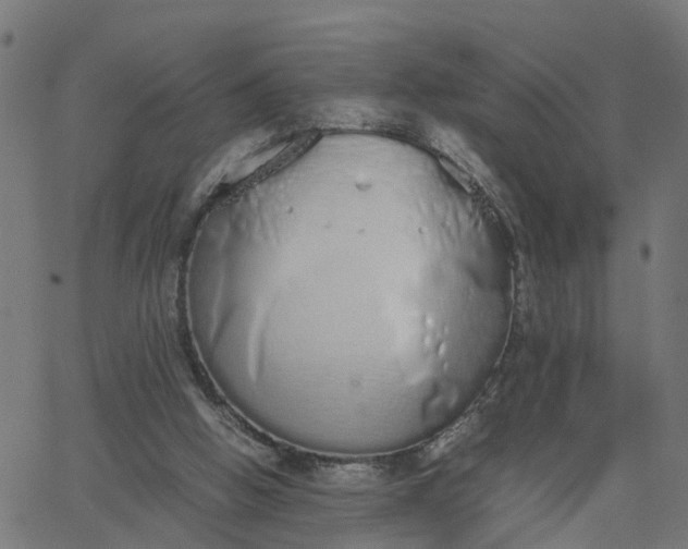 X0000067870058200604271746